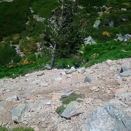 Apartamento Navacerrada Kültér fotó
